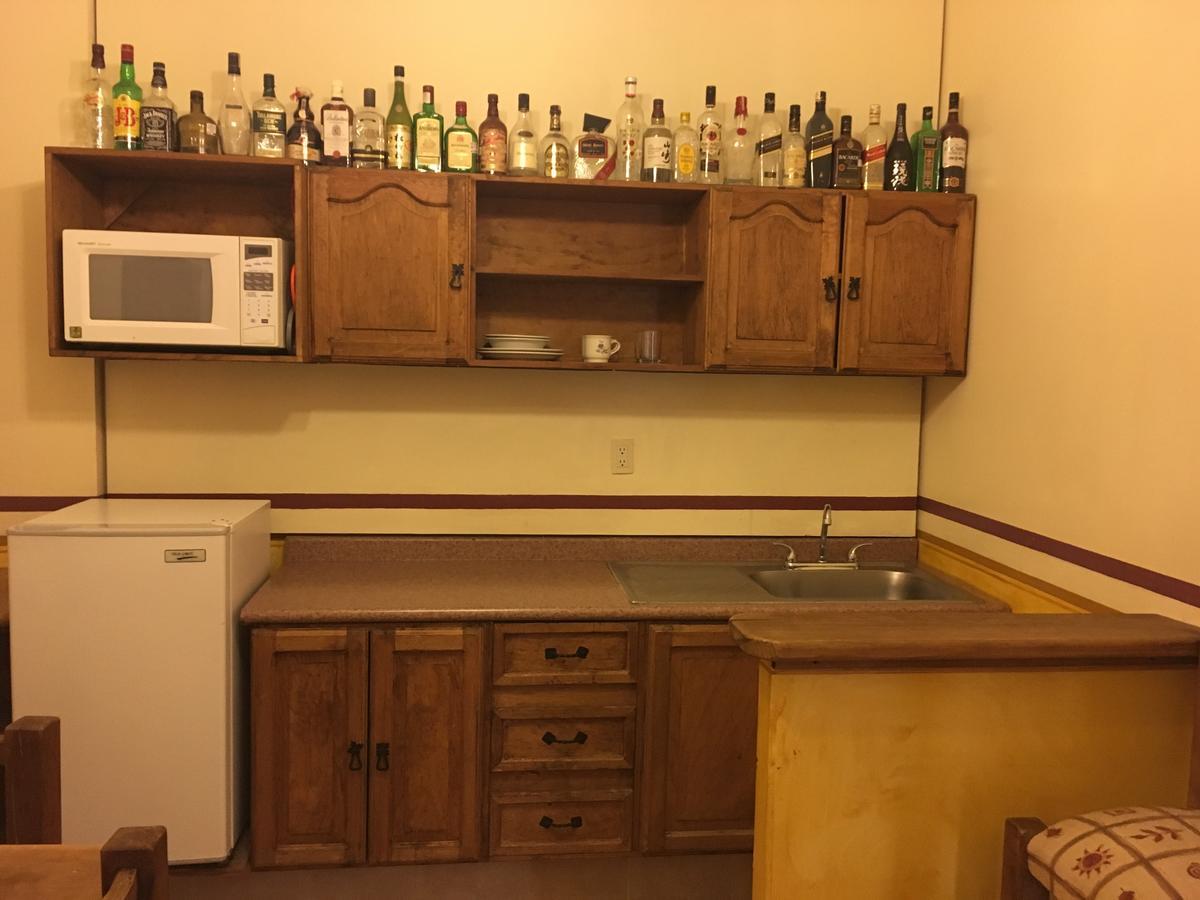 莱昂Quinta San Agustin公寓式酒店 外观 照片